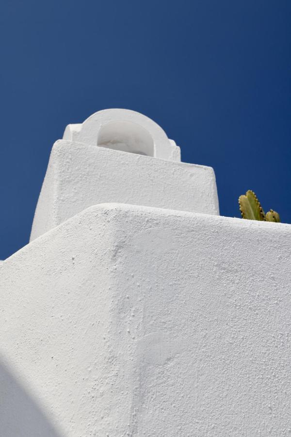 Aidos Villa Santorini Megalochori  Ngoại thất bức ảnh